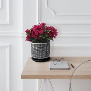 6" Mesh Design Planter with Saucer