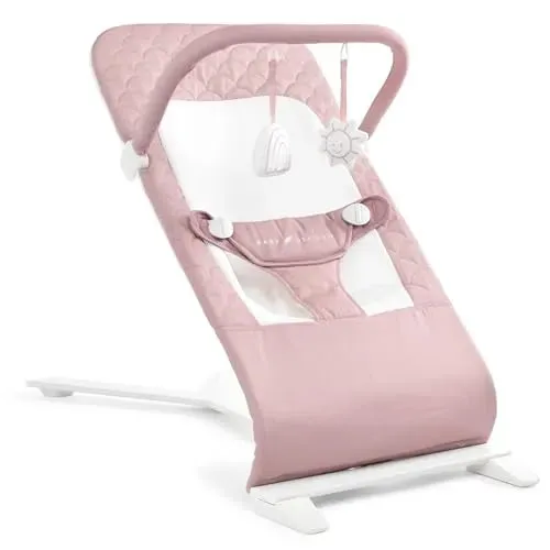 Alpine Deluxe Portable Bouncer - Organic Rose