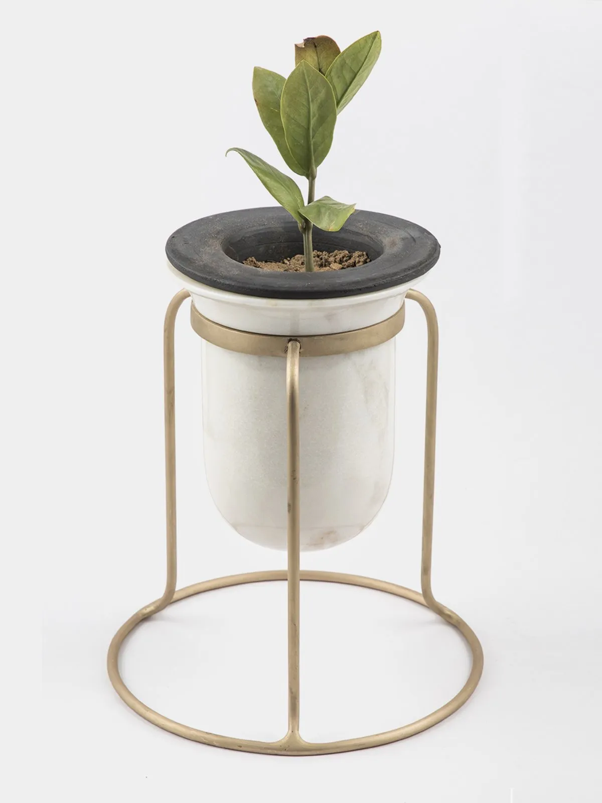 BIRBAL Tabletop Planter