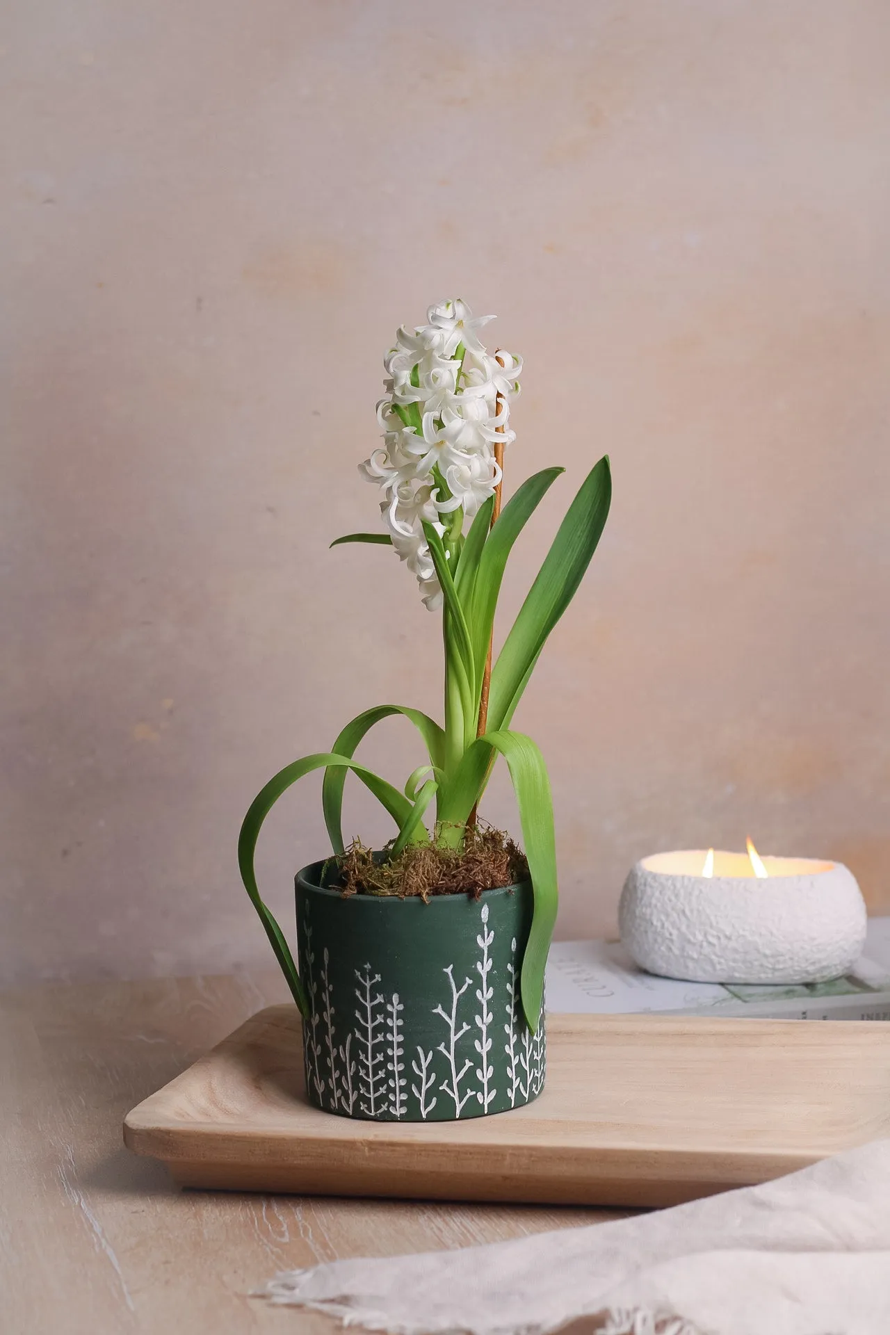 Botanical Etched Moss Planter