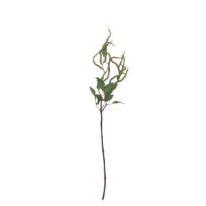 Catkin Spray - Green