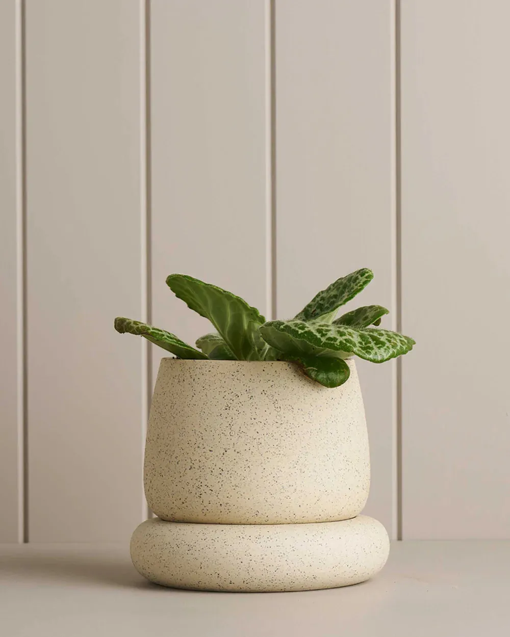 Cloud Planter 17.5cm