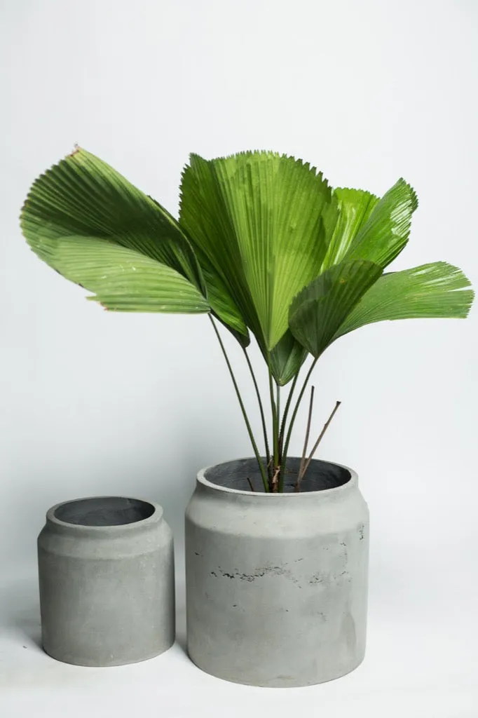 Concrete Planter Maison  L