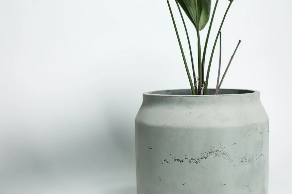 Concrete Planter Maison  L