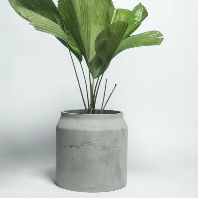 Concrete Planter Maison  L
