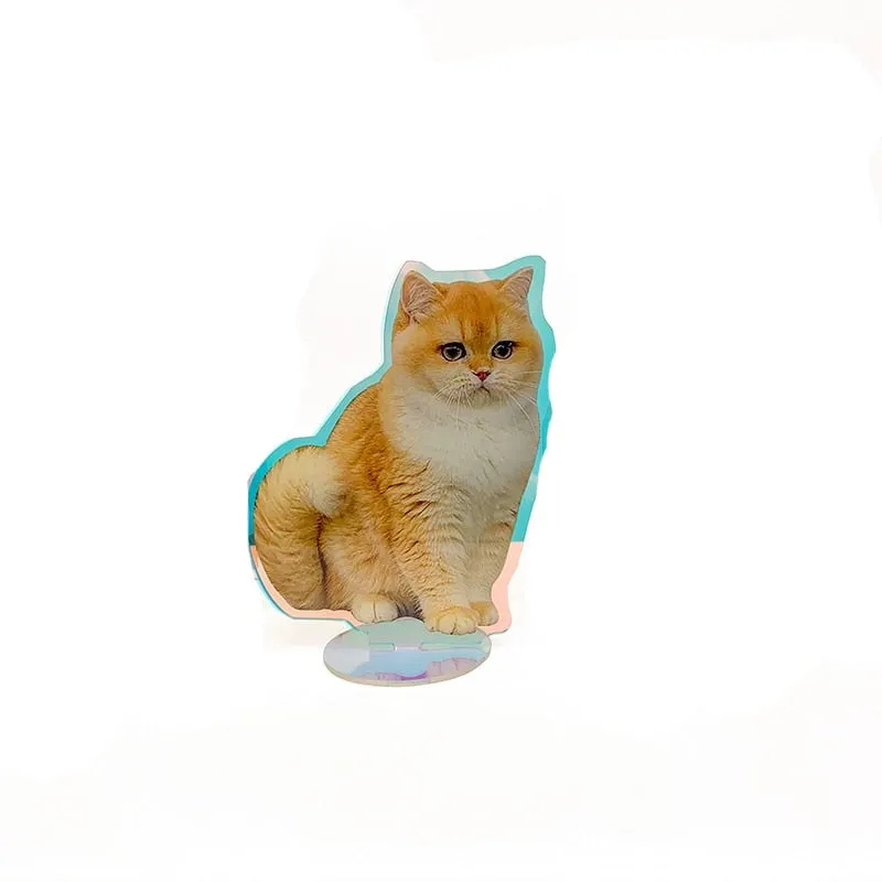 Custom Photo Stands by Style's Bug