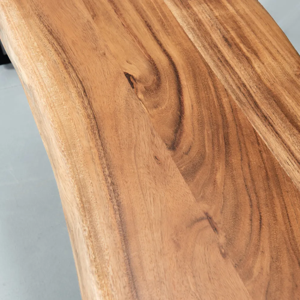 DANTON - Acacia Live Edge Bench 3.5cm Thickness Top with U Black Legs