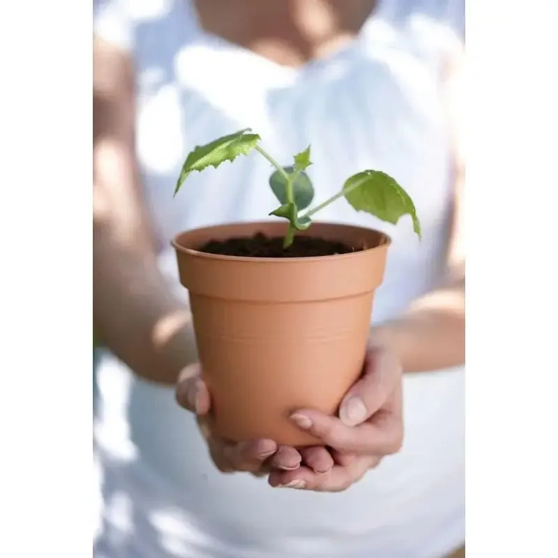 Elho Green Basics Growpot - Grow Pot - Indoor & Outdoor - Assorted Colours & Sizes