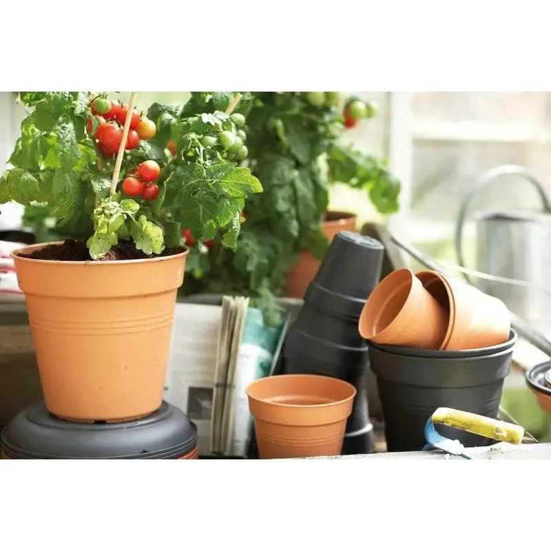 Elho Green Basics Growpot - Grow Pot - Indoor & Outdoor - Assorted Colours & Sizes