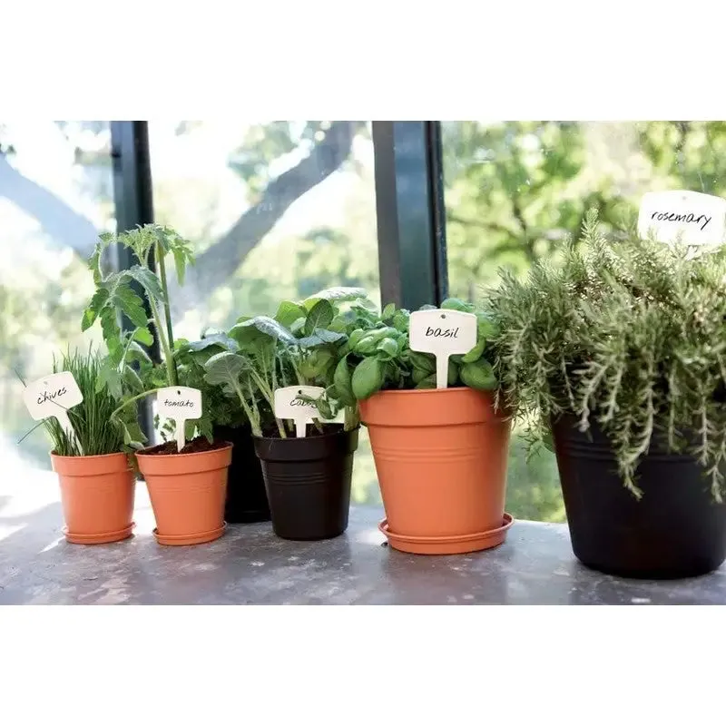 Elho Green Basics Growpot - Grow Pot - Indoor & Outdoor - Assorted Colours & Sizes