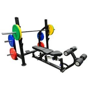 Elite 3 in 1 Bench Press PL7388