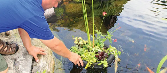 Floating Island Planters