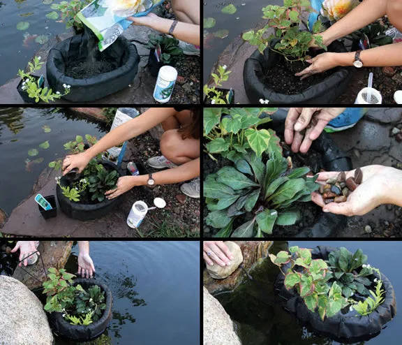 Floating Island Planters