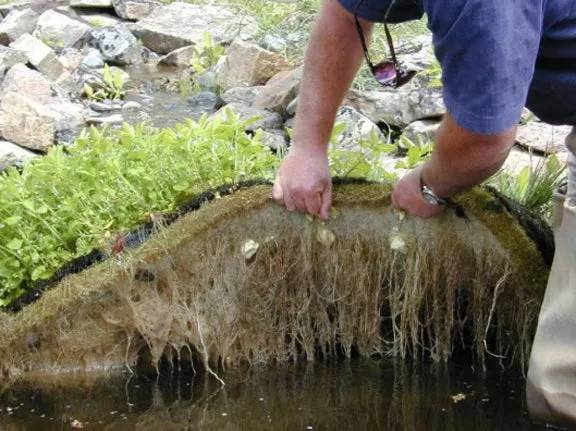 Floating Island Planters