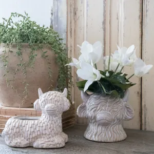 Highland Cow Planters