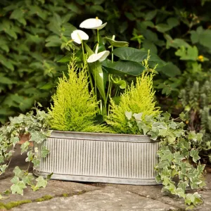 Oval ribbed planters - 3 sizes
