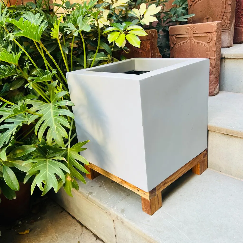 Sanjeeda 6  :  Fibre glass planter