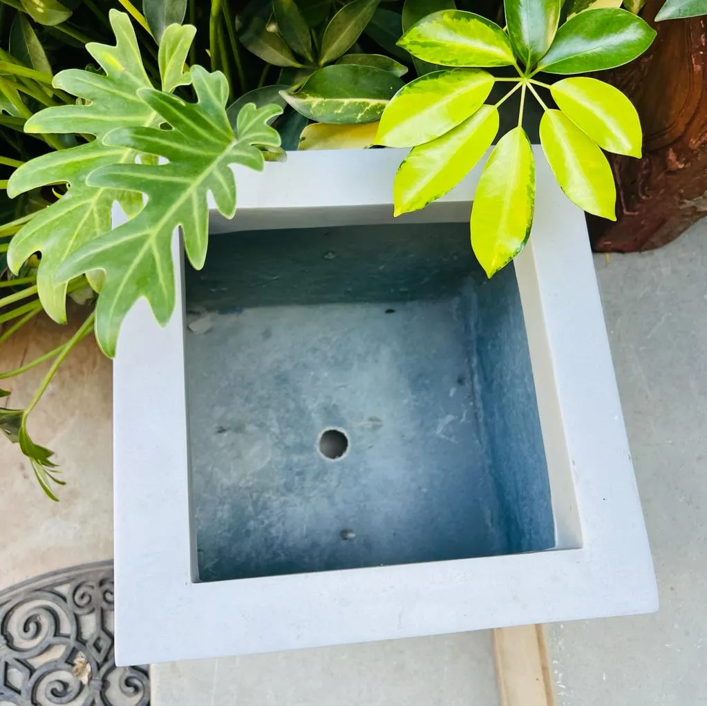 Sanjeeda 6  :  Fibre glass planter