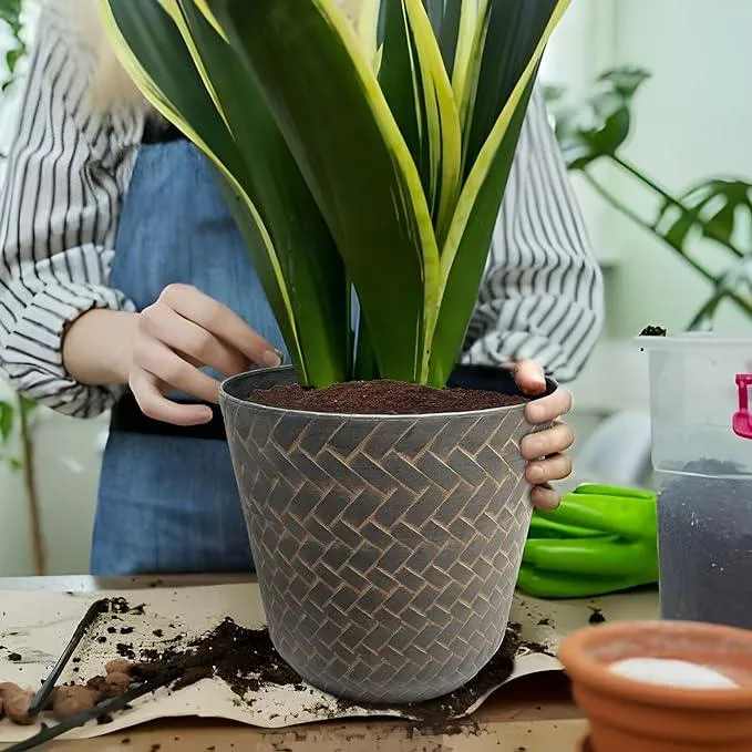 SG Traders Nantucket Plant Pot (Pack of 2)