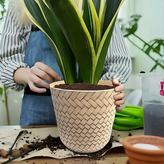 SG Traders Nantucket Plant Pot (Pack of 2)