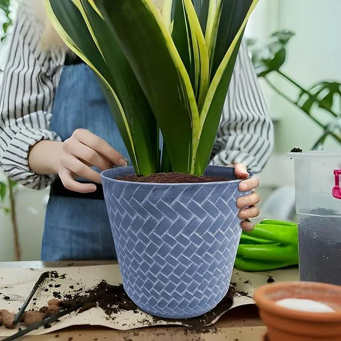 SG Traders Nantucket Plant Pot (Pack of 2)