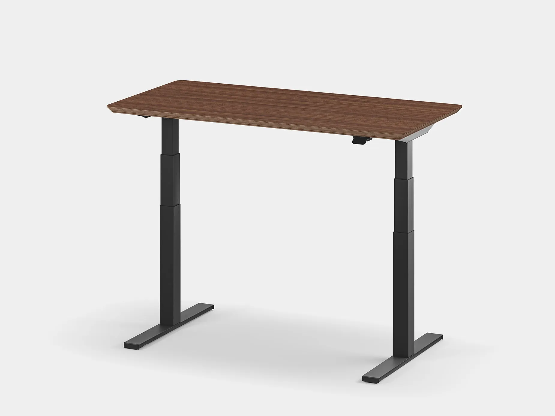 Standing Desk Pro