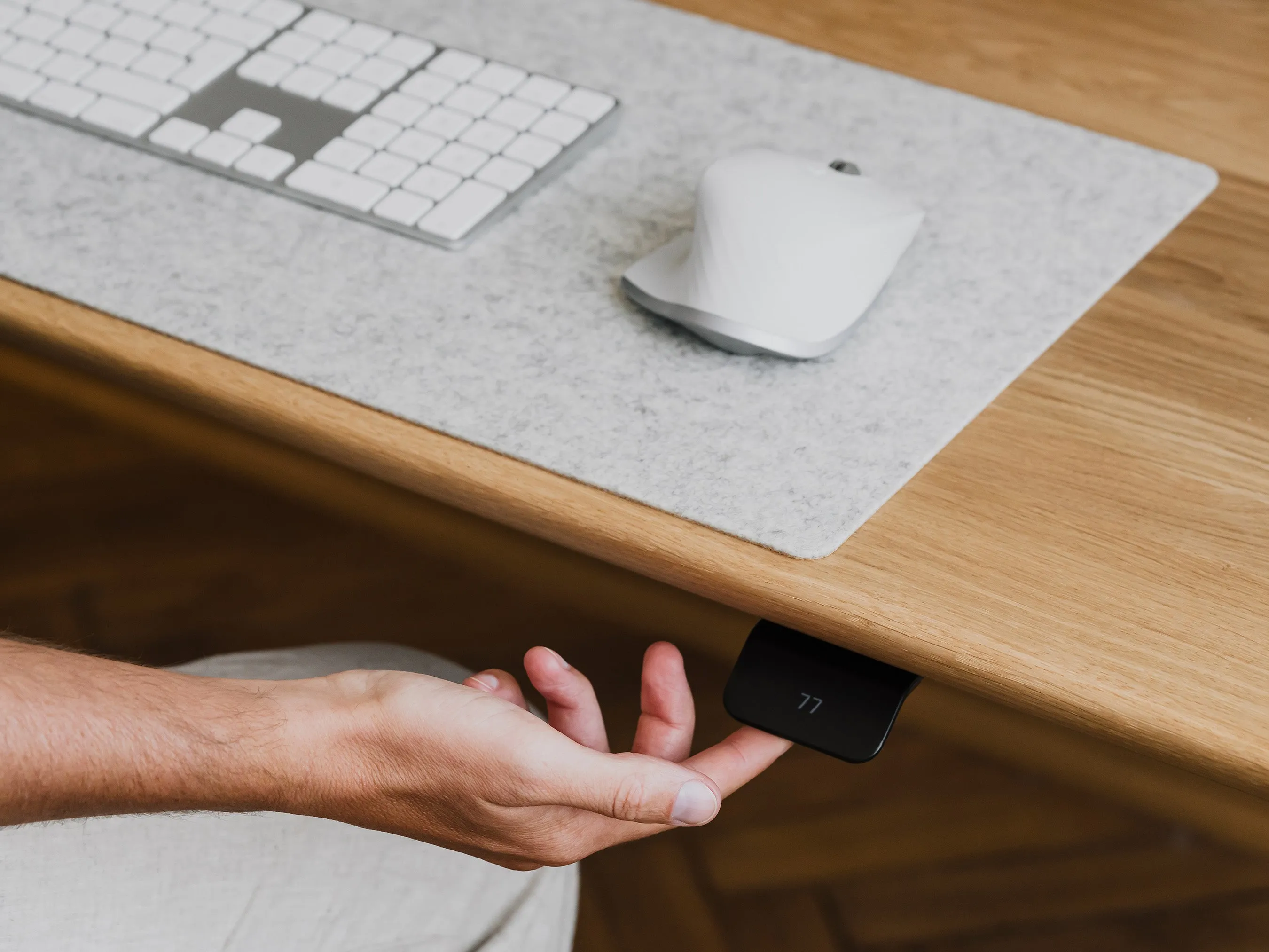 Standing Desk Pro