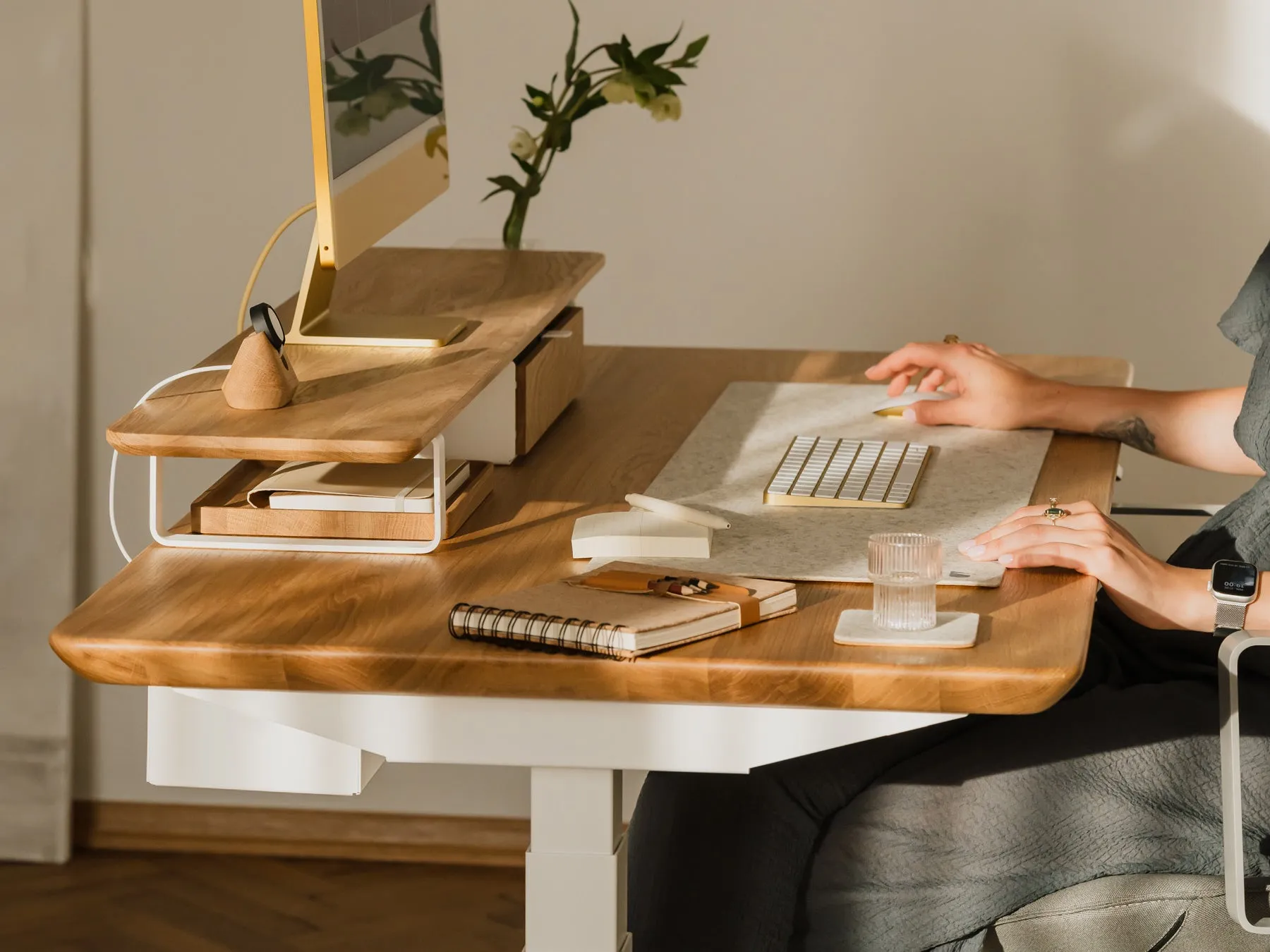 Standing Desk Pro