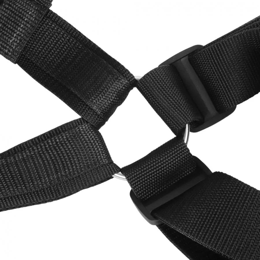Tracy's Dog Body Swing Set